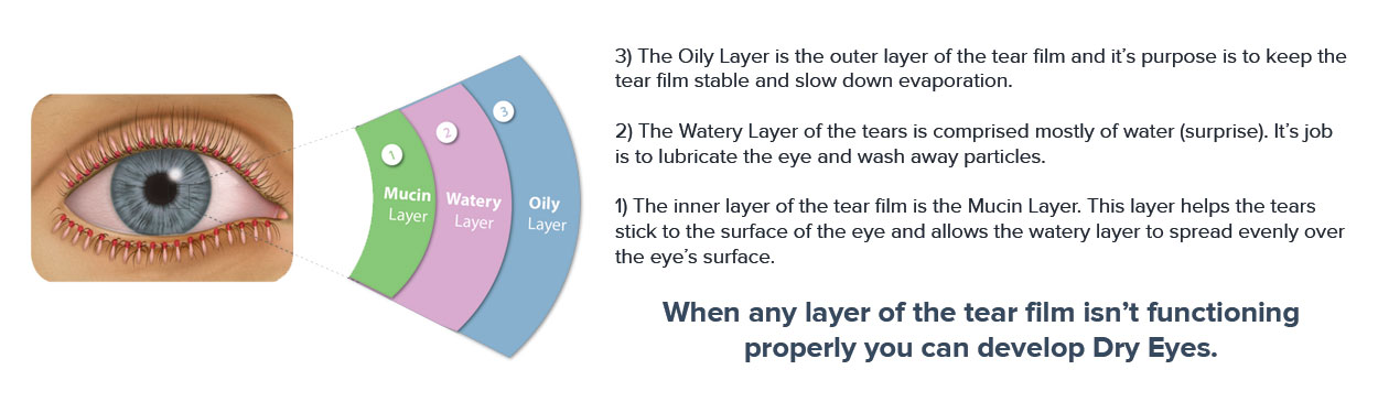 Causes for Dry Eye Disease The Dry Eye Disease Website